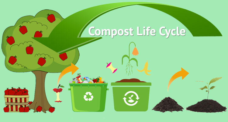 compost life cycle classic recycling new york